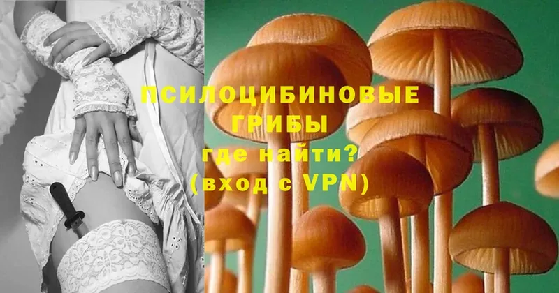 Галлюциногенные грибы мицелий  Кириши 