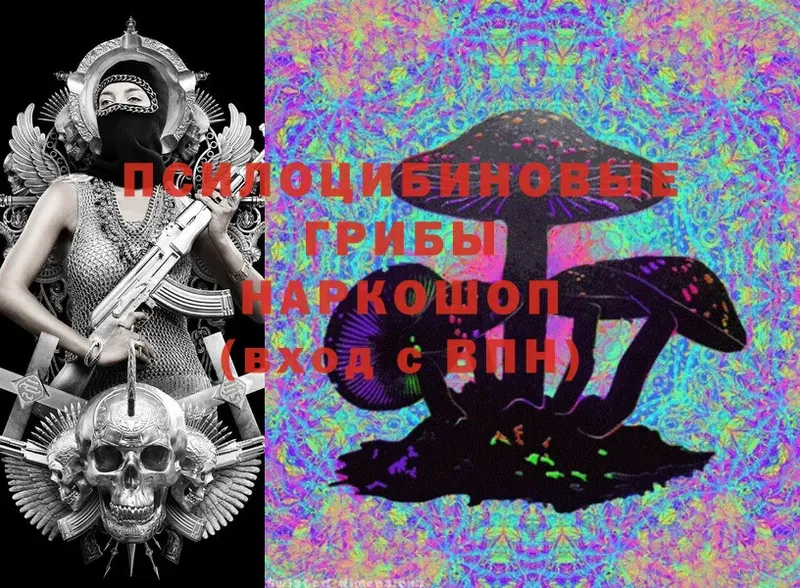 Псилоцибиновые грибы Cubensis Кириши